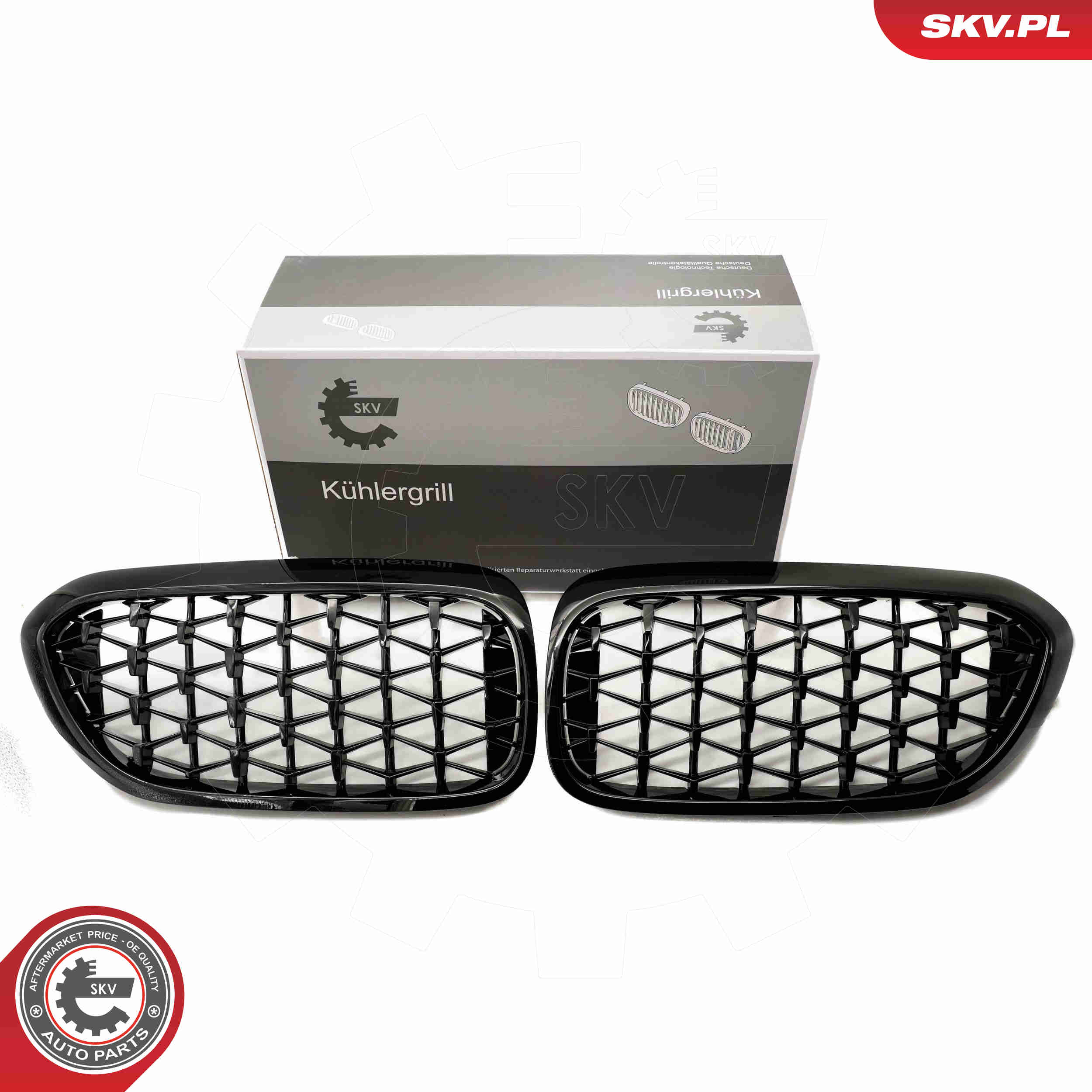 SKV 66SKV200