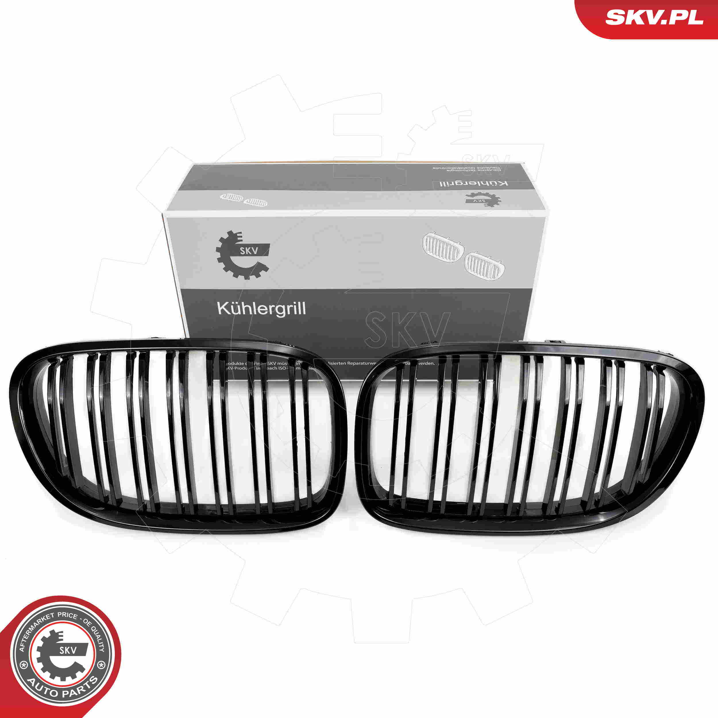 SKV 66SKV219