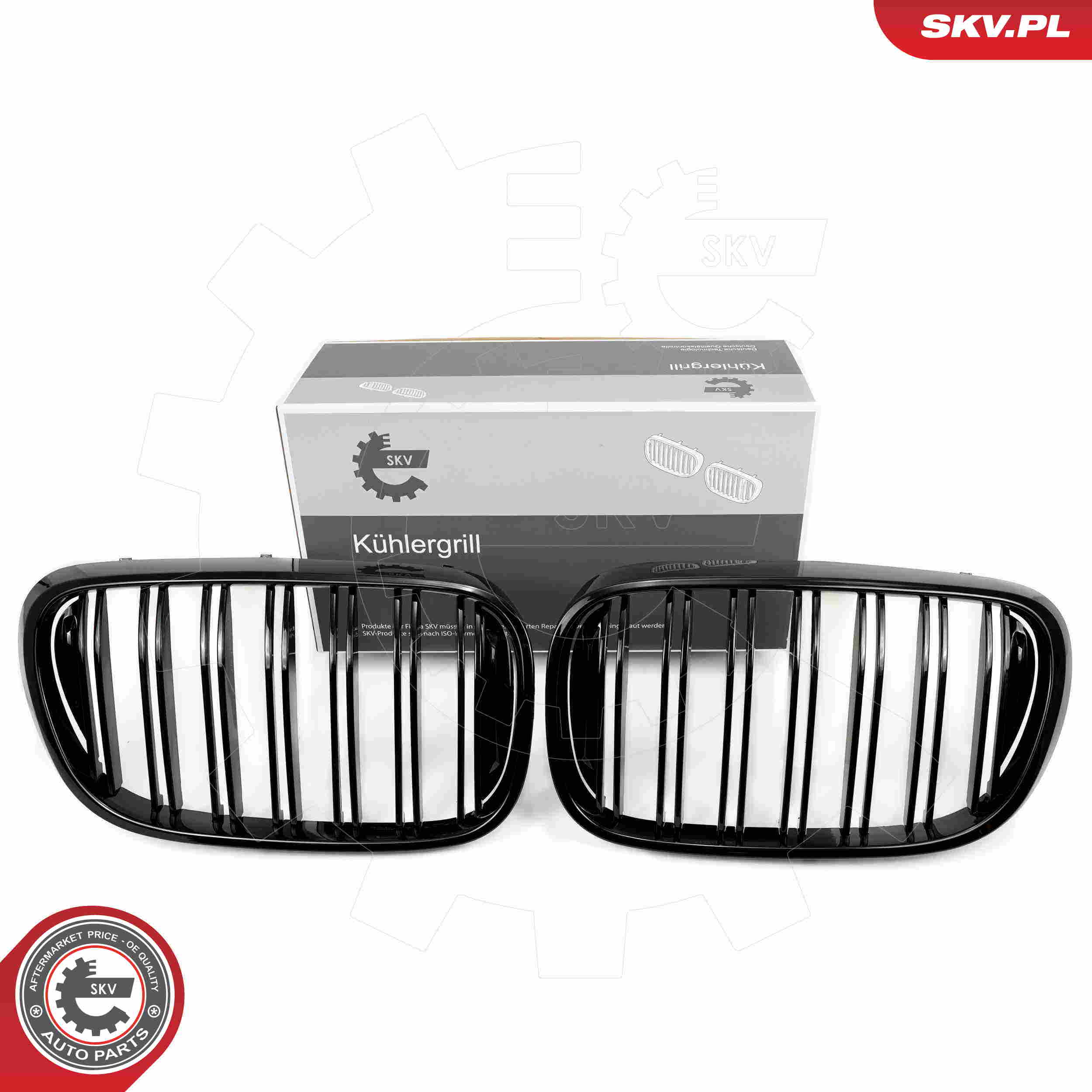SKV 66SKV223
