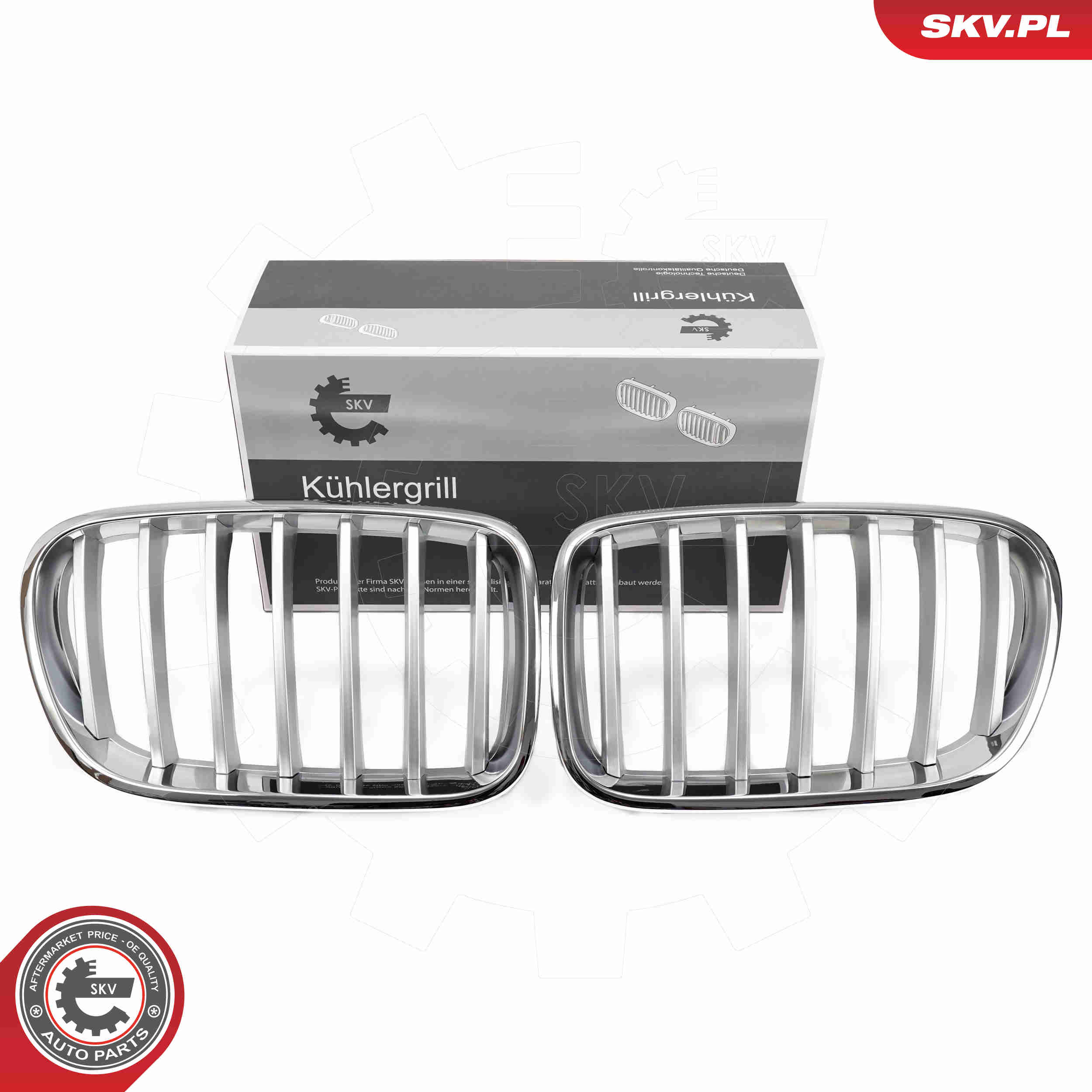 SKV 66SKV251