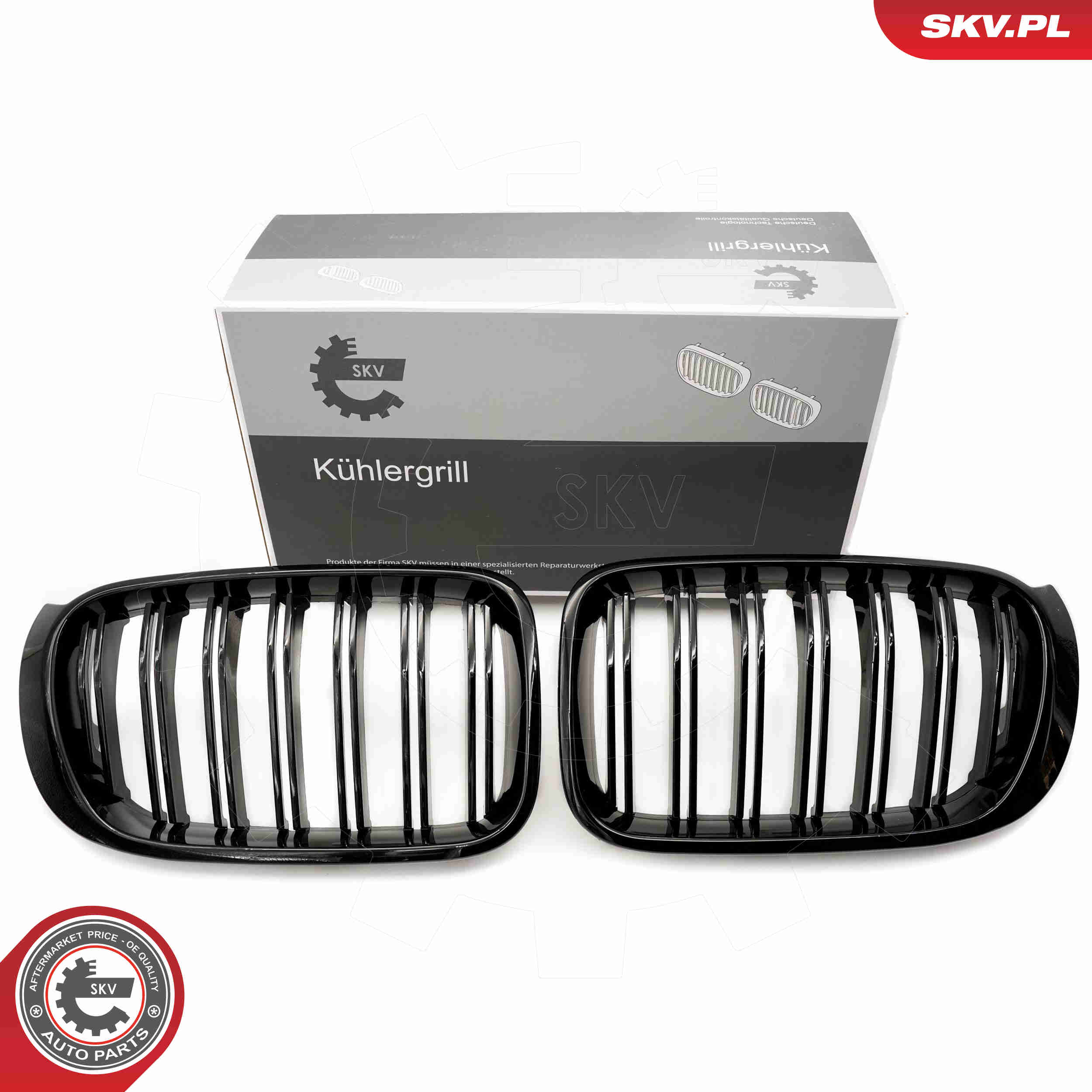 SKV 66SKV255