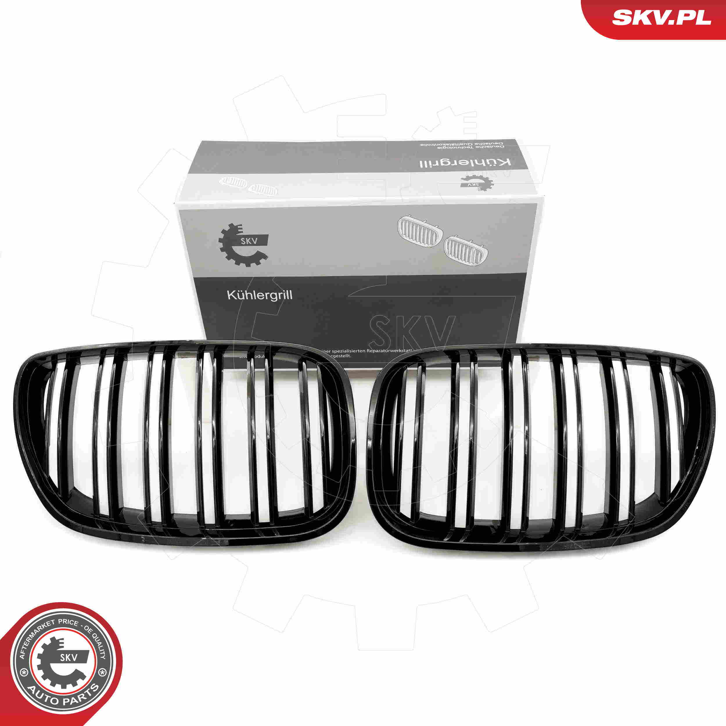 SKV 66SKV281