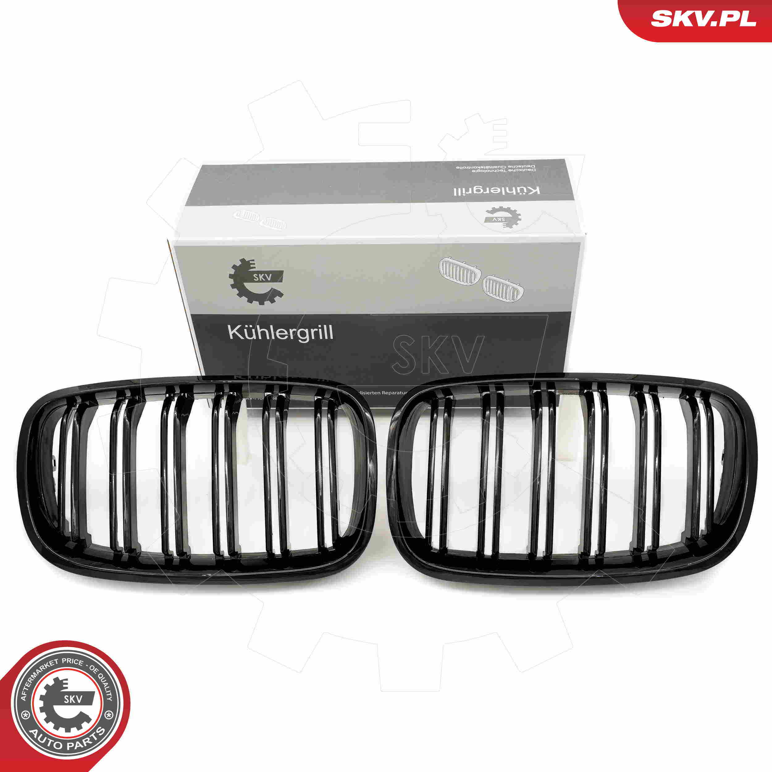 SKV 66SKV287