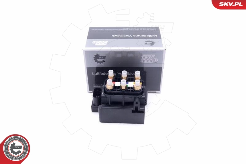 SKV 93SKV806