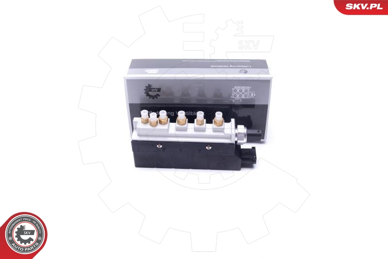 SKV 93SKV810