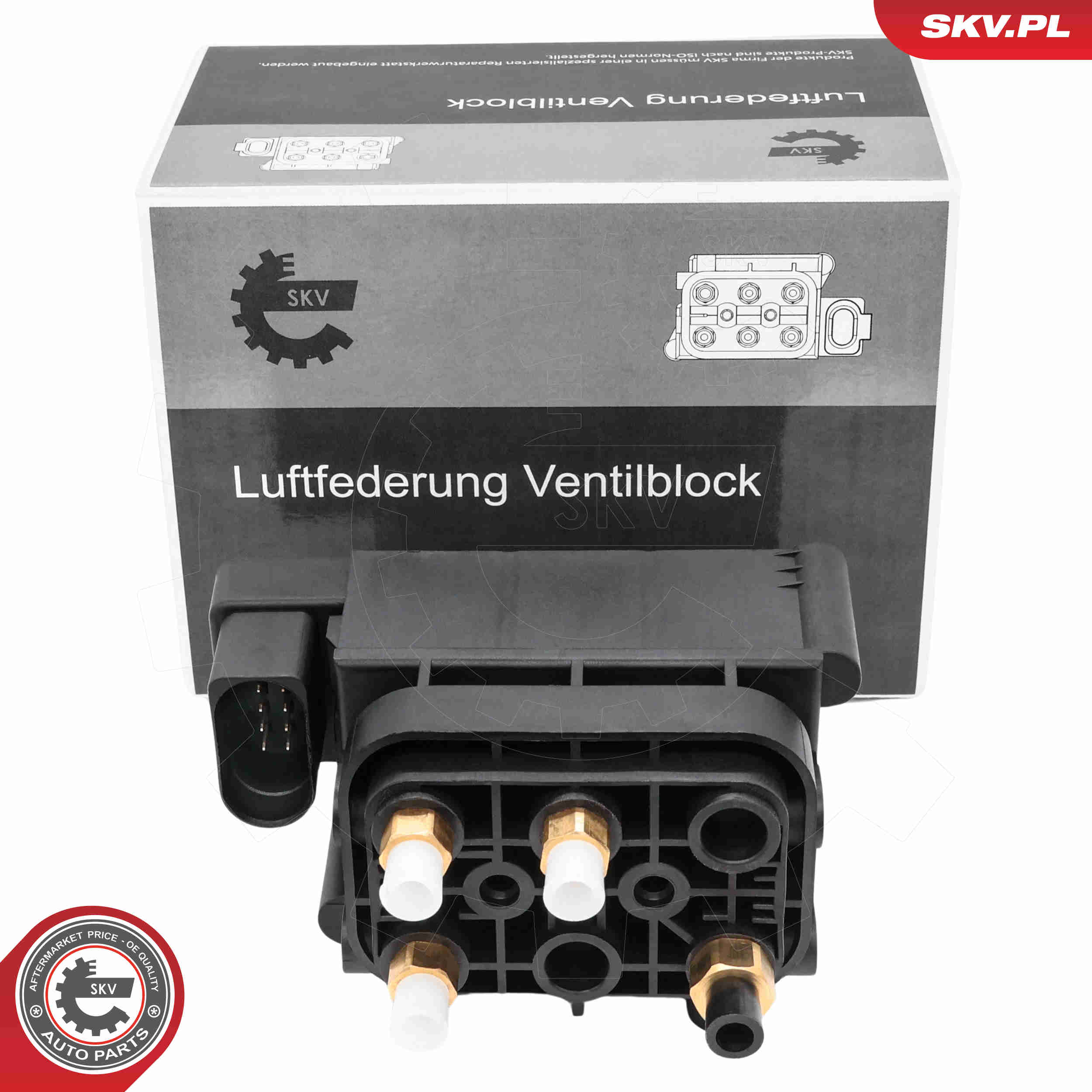 SKV 93SKV819