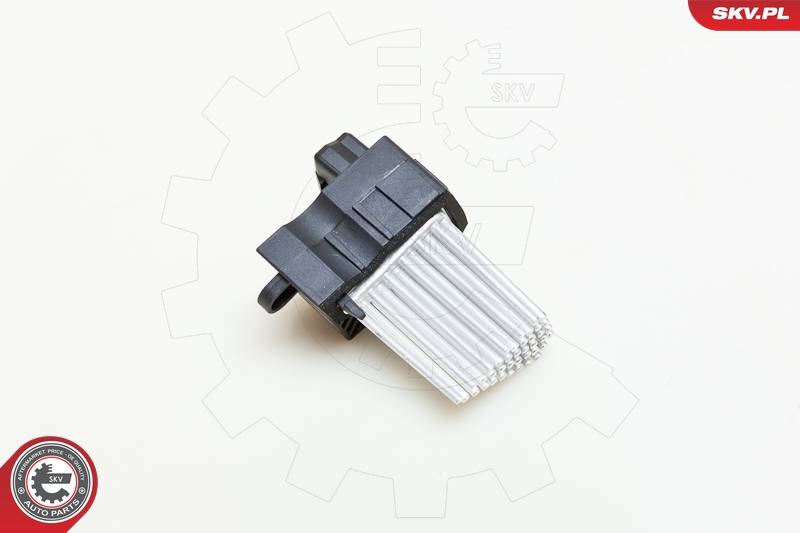 SKV 95SKV001