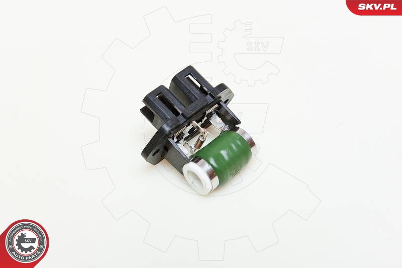 SKV 95SKV011