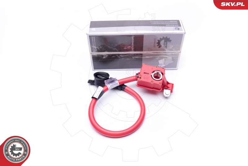 SKV 96SKV301