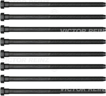 VICTOR REINZ 14-32384-02
