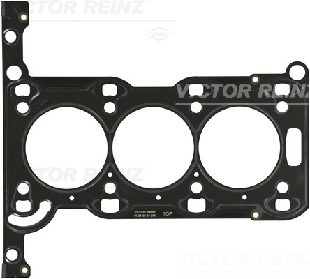 VICTOR REINZ 61-33495-00