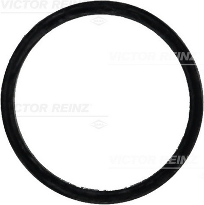 VICTOR REINZ 71-31647-00
