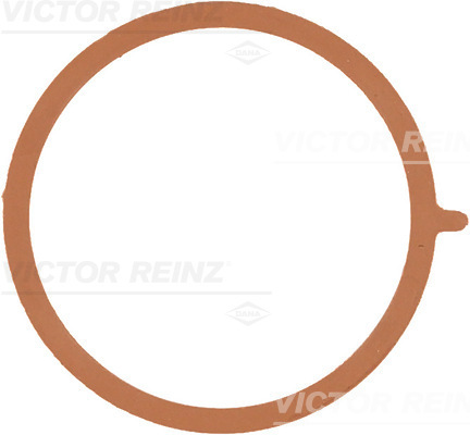 VICTOR REINZ 71-38953-00