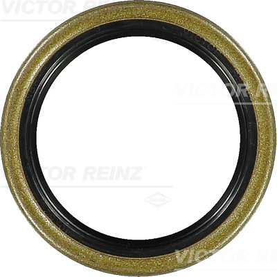 VICTOR REINZ 81-15999-30