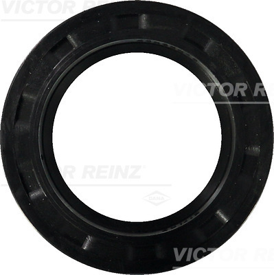 VICTOR REINZ 81-21001-20