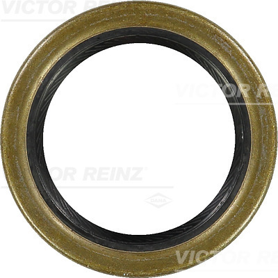 VICTOR REINZ 81-21087-10