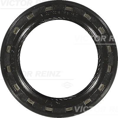VICTOR REINZ 81-21798-40