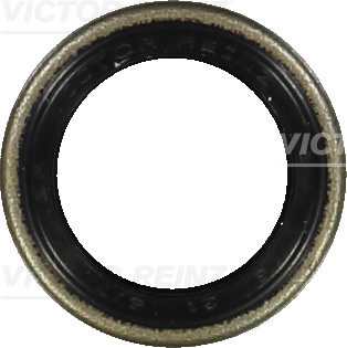 VICTOR REINZ 81-24010-00