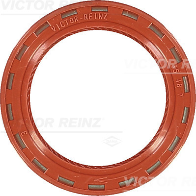 VICTOR REINZ 81-24909-10