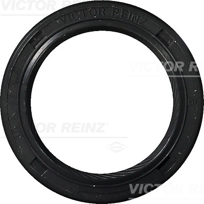 VICTOR REINZ 81-25582-10