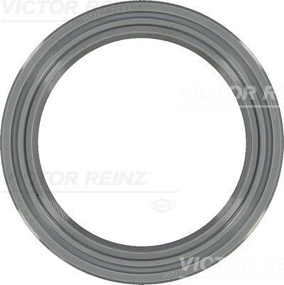 VICTOR REINZ 81-25587-10