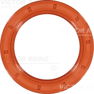 VICTOR REINZ 81-25789-00