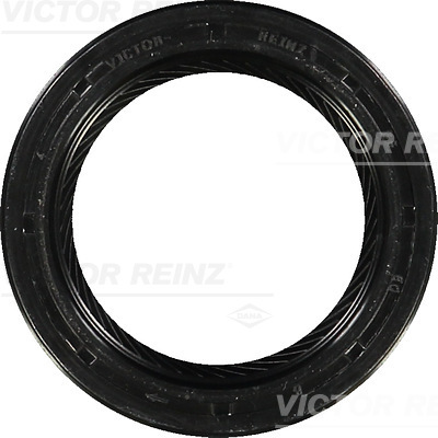 VICTOR REINZ 81-26244-10