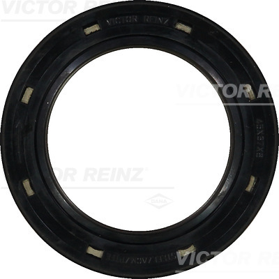 VICTOR REINZ 81-26248-10
