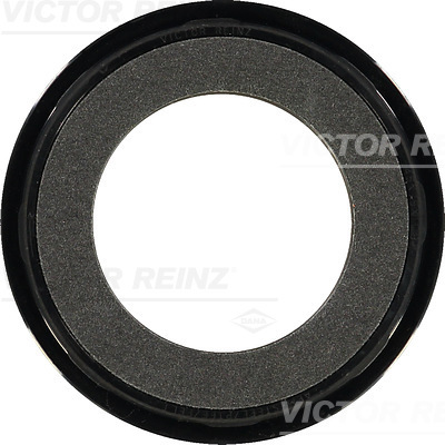 VICTOR REINZ 81-34062-00