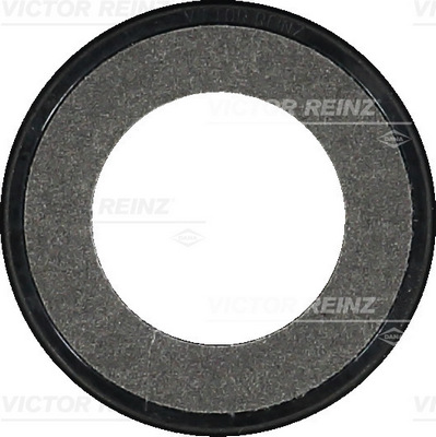 VICTOR REINZ 81-34313-00