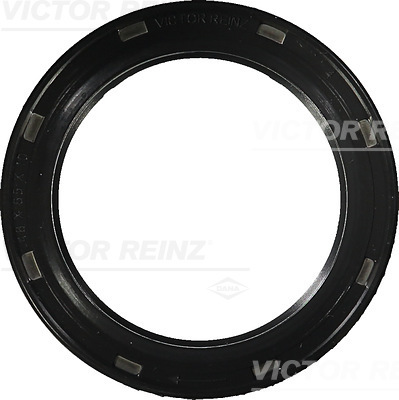 VICTOR REINZ 81-38031-00