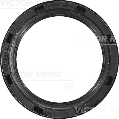 VICTOR REINZ 81-38529-00