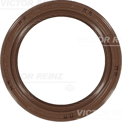 VICTOR REINZ 81-53231-00