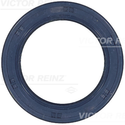 VICTOR REINZ 81-53243-00