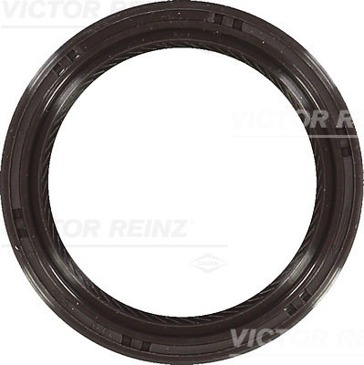 VICTOR REINZ 81-53267-00