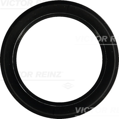 VICTOR REINZ 81-54272-00
